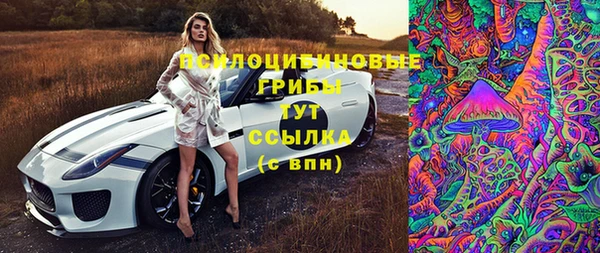 кокс Алексин